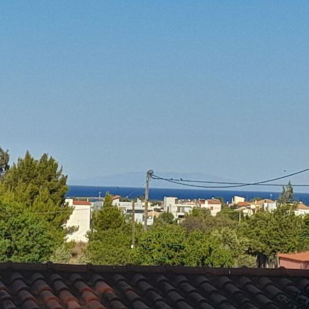 Elena'S Farm House Near Airport And Artemida Beach Εξωτερικό φωτογραφία